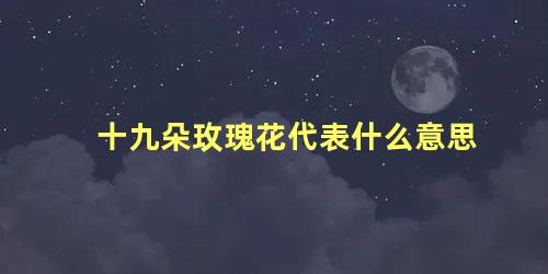 十九朵玫瑰花代表什么意思