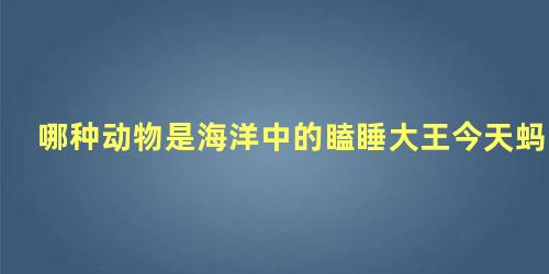 哪种动物是海洋中的瞌睡大王今天蚂蚁庄园课堂答案