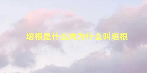 培根是什么肉为什么叫培根