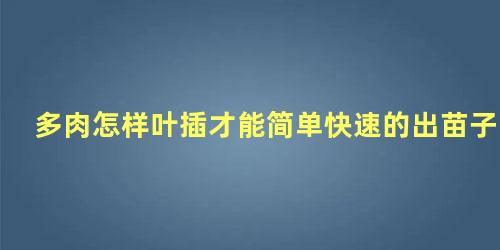 多肉怎样叶插才能简单快速的出苗子