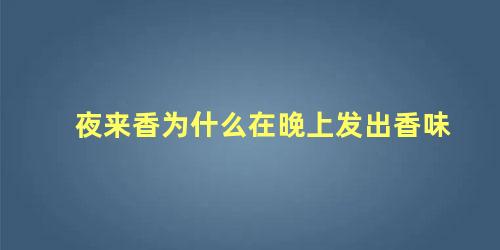 夜来香为什么在晚上发出香味