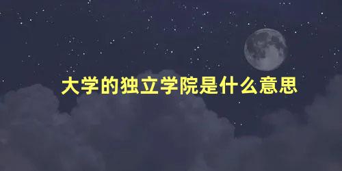 大学的独立学院是什么意思