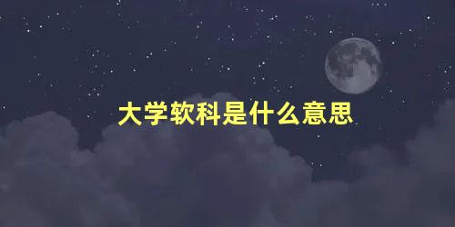 大学软科是什么意思