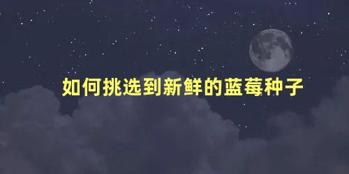 如何挑选到新鲜的蓝莓种子