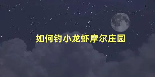 如何钓小龙虾摩尔庄园