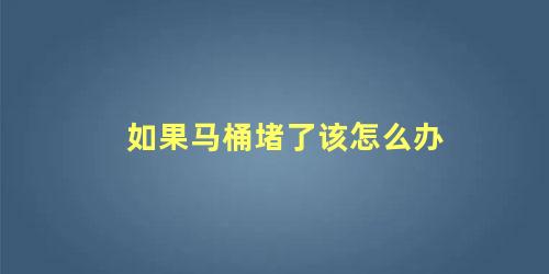 如果马桶堵了该怎么办