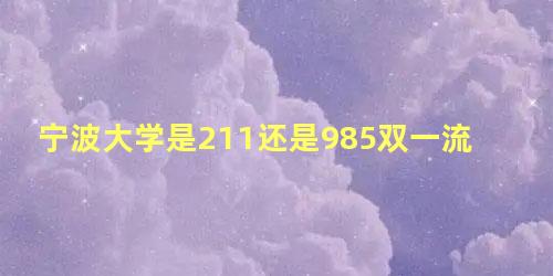 宁波大学是211还是985双一流