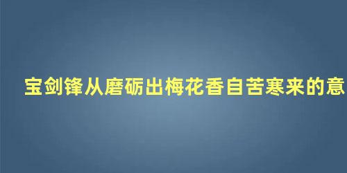 宝剑锋从磨砺出梅花香自苦寒来的意思