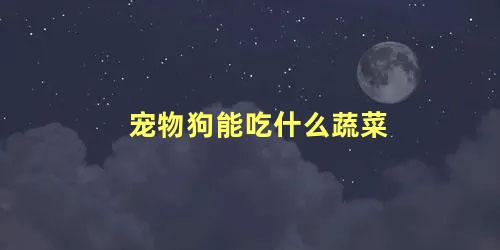 宠物狗能吃什么蔬菜