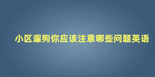 小区遛狗你应该注意哪些问题英语