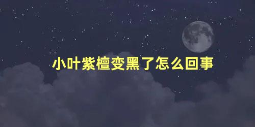 小叶紫檀变黑了怎么回事