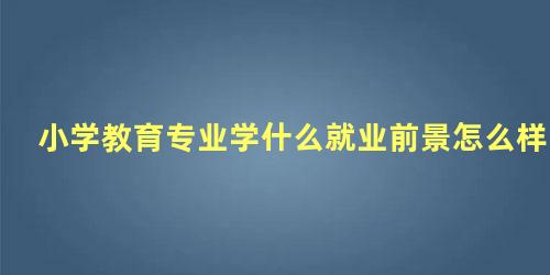 小学教育专业学什么就业前景怎么样