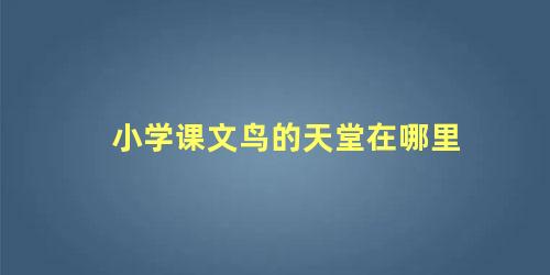 小学课文鸟的天堂在哪里