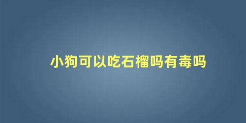 小狗可以吃石榴吗有毒吗