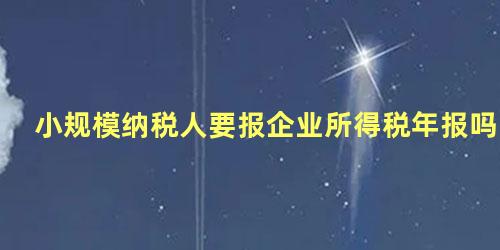 小规模纳税人要报企业所得税年报吗