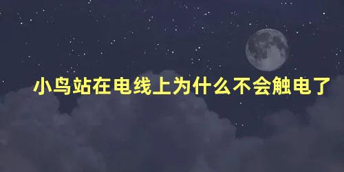 小鸟站在电线上为什么不会触电了