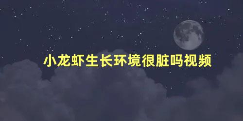 小龙虾生长环境很脏吗视频