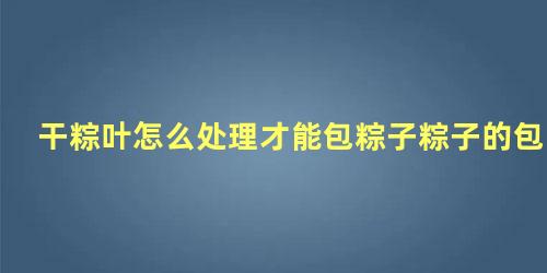 干粽叶怎么处理才能包粽子粽子的包法