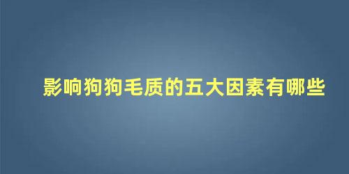 影响狗狗毛质的五大因素有哪些