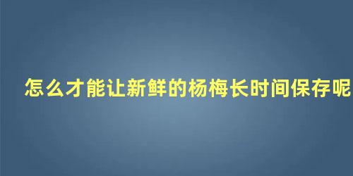 怎么才能让新鲜的杨梅长时间保存呢