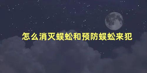 怎么消灭蜈蚣和预防蜈蚣来犯