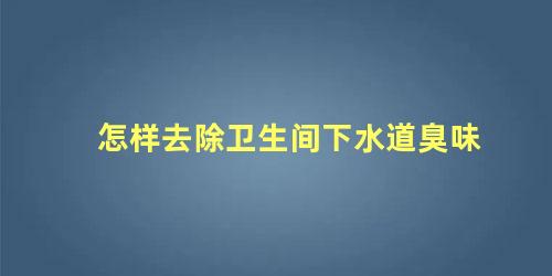 怎样去除卫生间下水道臭味