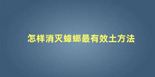 怎样消灭蟑螂最有效土方法