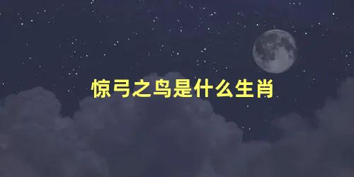 惊弓之鸟是什么生肖