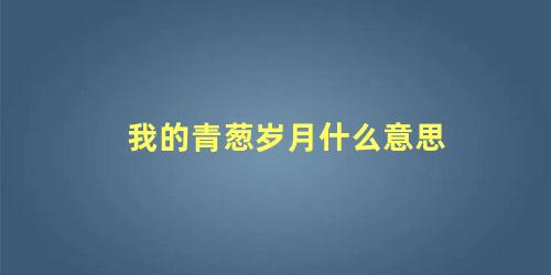 我的青葱岁月什么意思