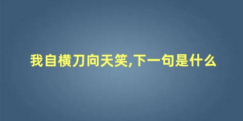 我自横刀向天笑,下一句是什么