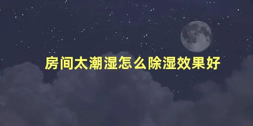 房间太潮湿怎么除湿效果好