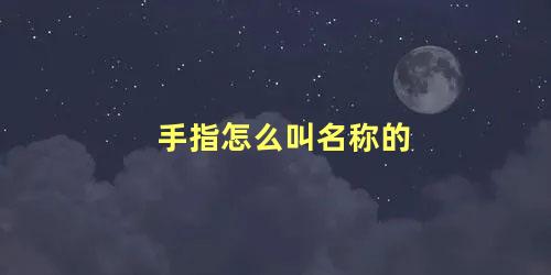 手指怎么叫名称的