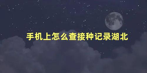 手机上怎么查接种记录湖北