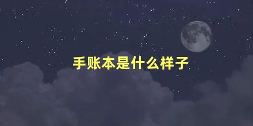 手账本是什么样子