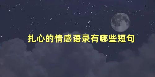 扎心的情感语录有哪些短句