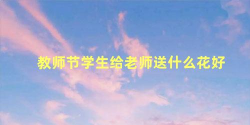 教师节学生给老师送什么花好