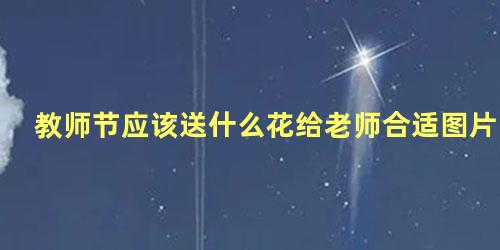 教师节应该送什么花给老师合适图片