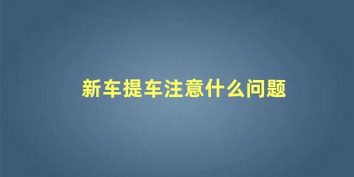 新车提车注意什么问题