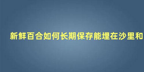 新鲜百合如何长期保存能埋在沙里和土里进行宝存吗