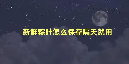 新鲜粽叶怎么保存隔天就用