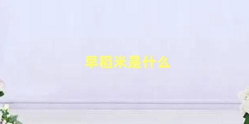 早稻米是什么