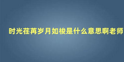 时光荏苒岁月如梭是什么意思啊老师讲课认真的形容词