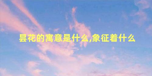 昙花的寓意是什么,象征着什么