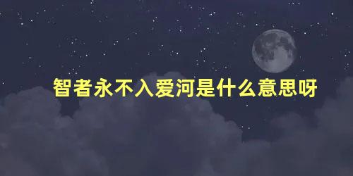 智者永不入爱河是什么意思呀