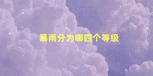 暴雨分为哪四个等级