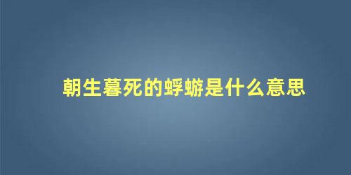 朝生暮死的蜉蝣是什么意思