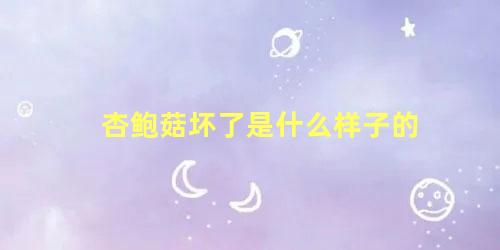 杏鲍菇坏了是什么样子的