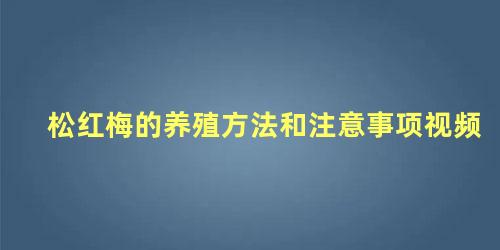 松红梅的养殖方法和注意事项视频