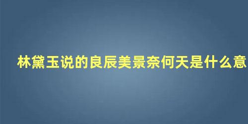 林黛玉说的良辰美景奈何天是什么意思