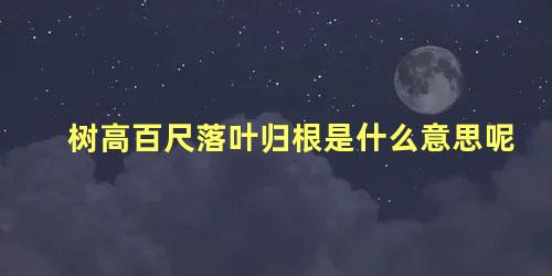 树高百尺落叶归根是什么意思呢